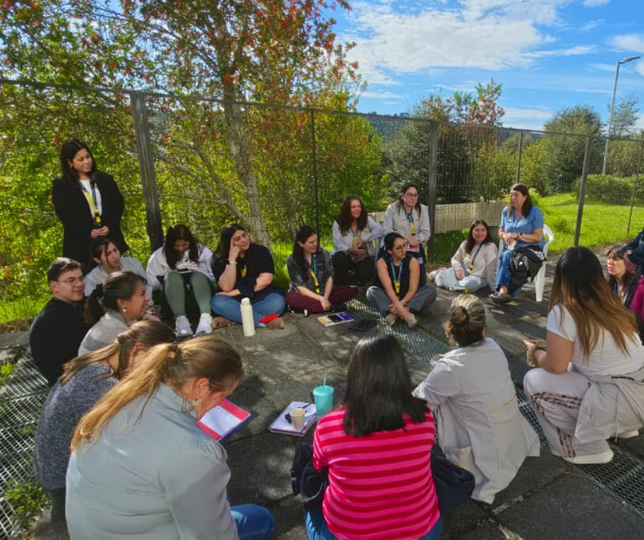 ColegioSanFranciscoJaviePuertoMontt_PD6
